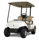 The Drive Electric Golf Cars